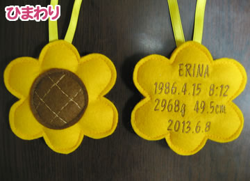 duffy_k_himawari1