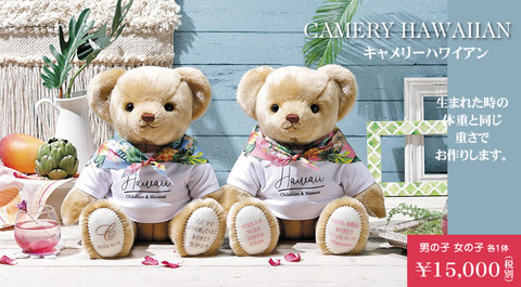 camery_haw_01