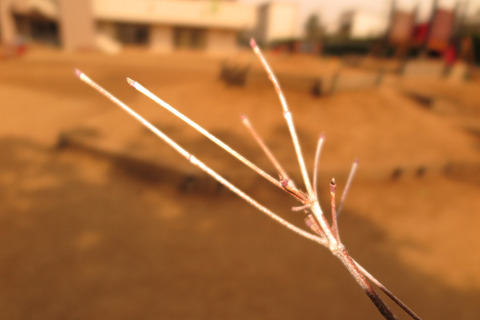 写真 2015-03-18 4 02 38