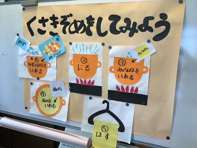 染物 マリーゴールドを使って チューリップ保育園 共育