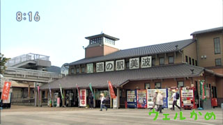 ウェルかめ 道の駅 日和佐