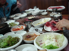 �ڵ�����Ź