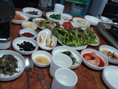 ���������̤�¿���Ǥ�