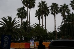 済州国際空港