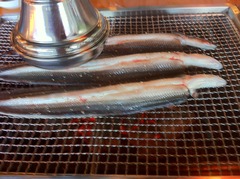 うなぎさん登場(炭火焼)