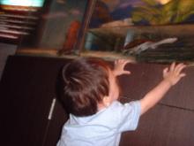 ��������ǯ�����ӥ�ǥ��󥰿�²�ۤˤ�