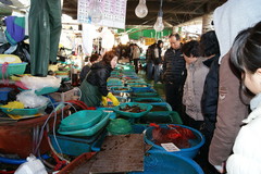 ��������ε��Ծ�