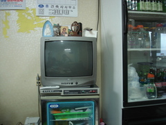 �ڼ���Ʋ�ϥ�ȥ���ʷ�ϵ�