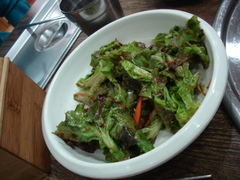 ���������¤�ʪ