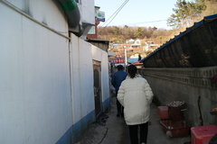 ���̤ο�Ʋ�ء�����