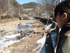 疸基藥水湯(ダルギヤクスタン)