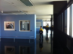 �����ӥ�ǥ��󥰲����Ÿ��ʪ