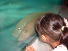 ̼����ä��㤫�ä���