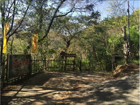 1a69e336.jpg