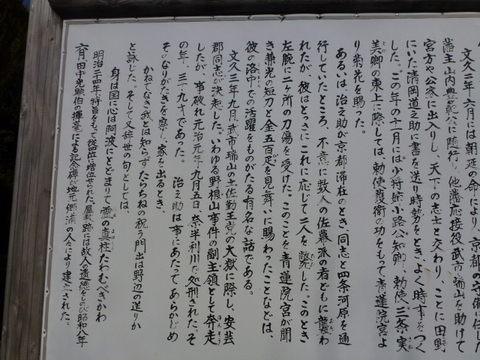 2685bf5a.jpg