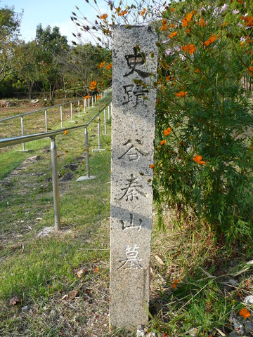 29242f33.jpg