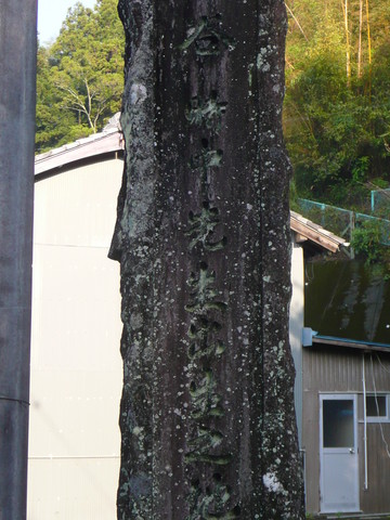 30e68e16.jpg