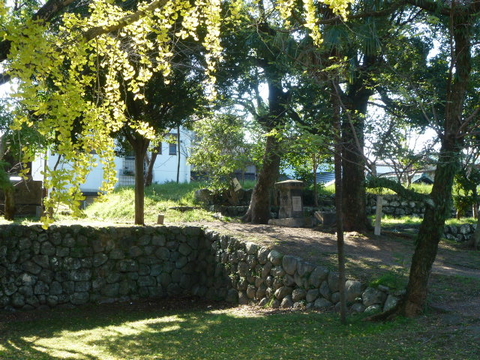 7307c806.jpg