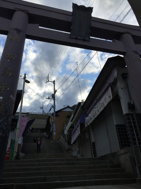 7cb95358.jpg
