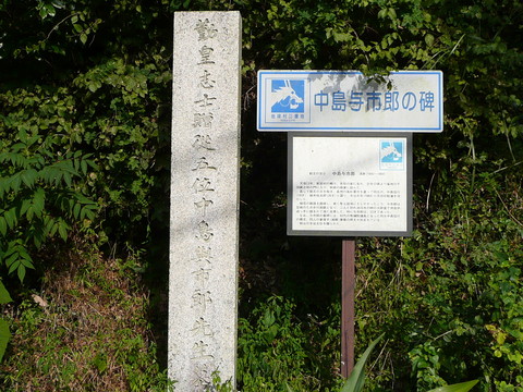 806ead77.jpg