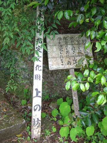 9a2ecf01.jpg