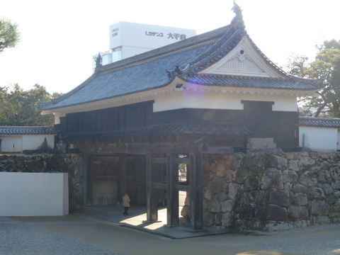 a42305fe.jpg