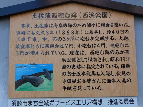 c9733206.jpg