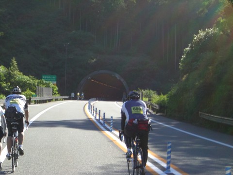d75b208d.jpg