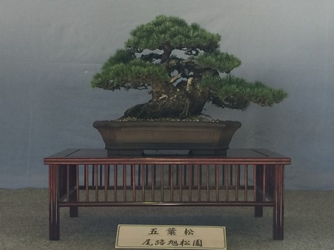 e1699b32.jpg