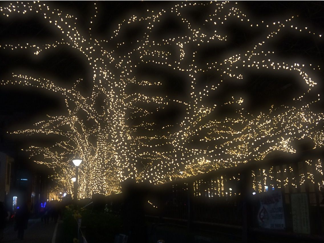 目黒川のイルミネーション 中目黒ジュエルドーム16 を撮ってきました 株式会社ウエルオン