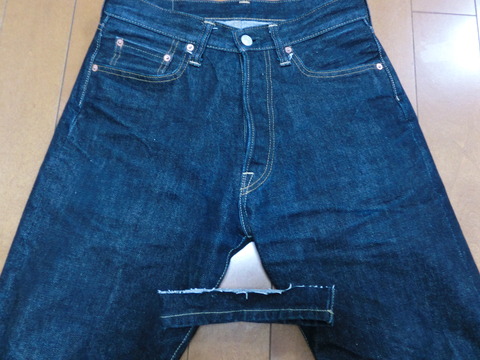 sd101day48hige600h