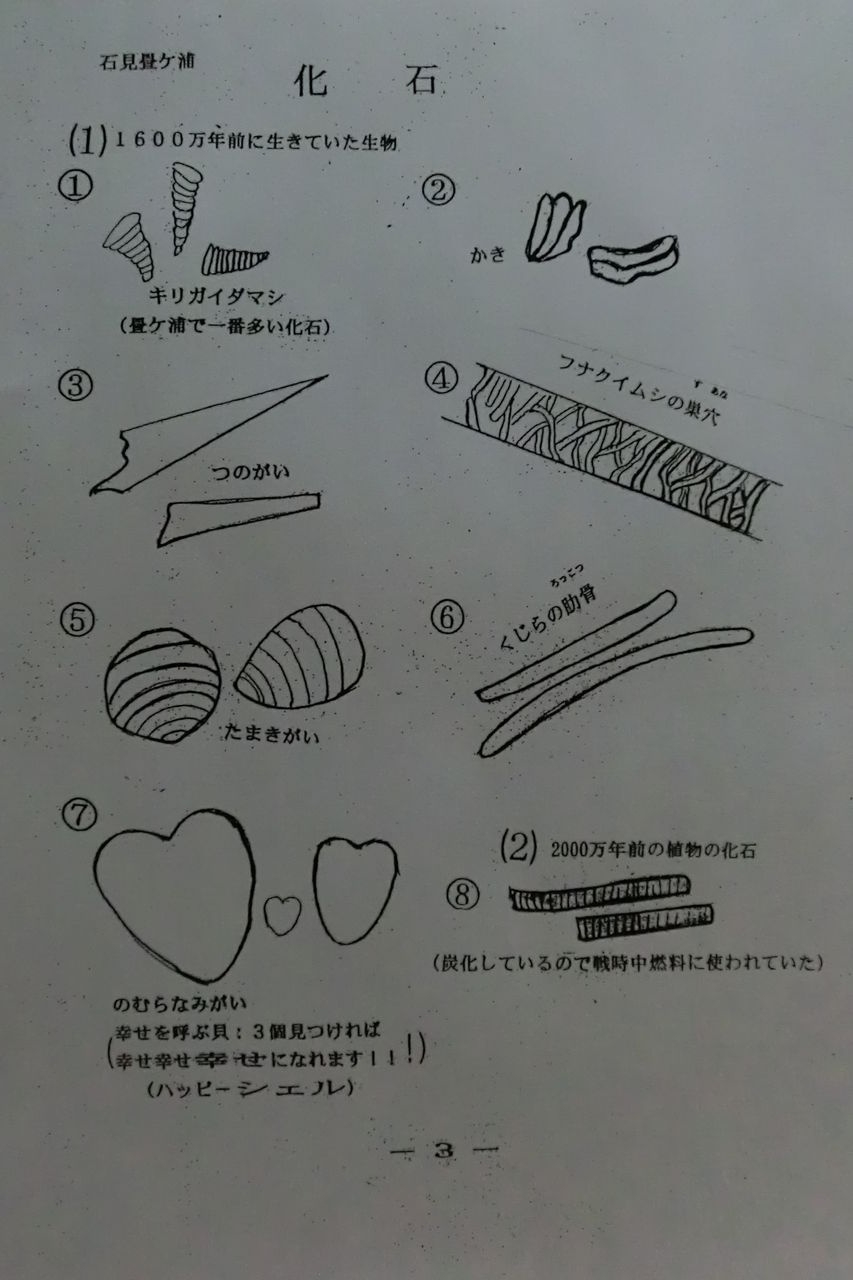 石見畳ケ浦 千畳敷 万葉集と美味しいものの旅