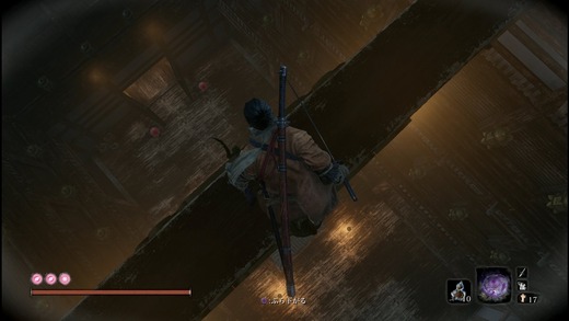 sekiro_4847