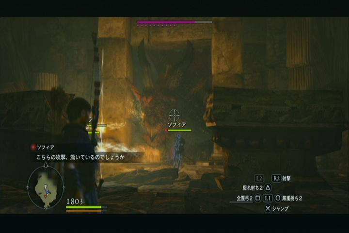 ドラゴンズドグマ その16 西へ東へ