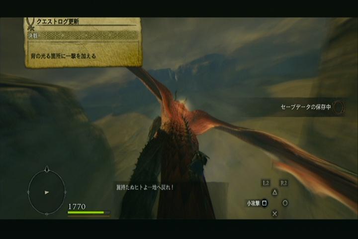 ドラゴンズドグマ その16 西へ東へ