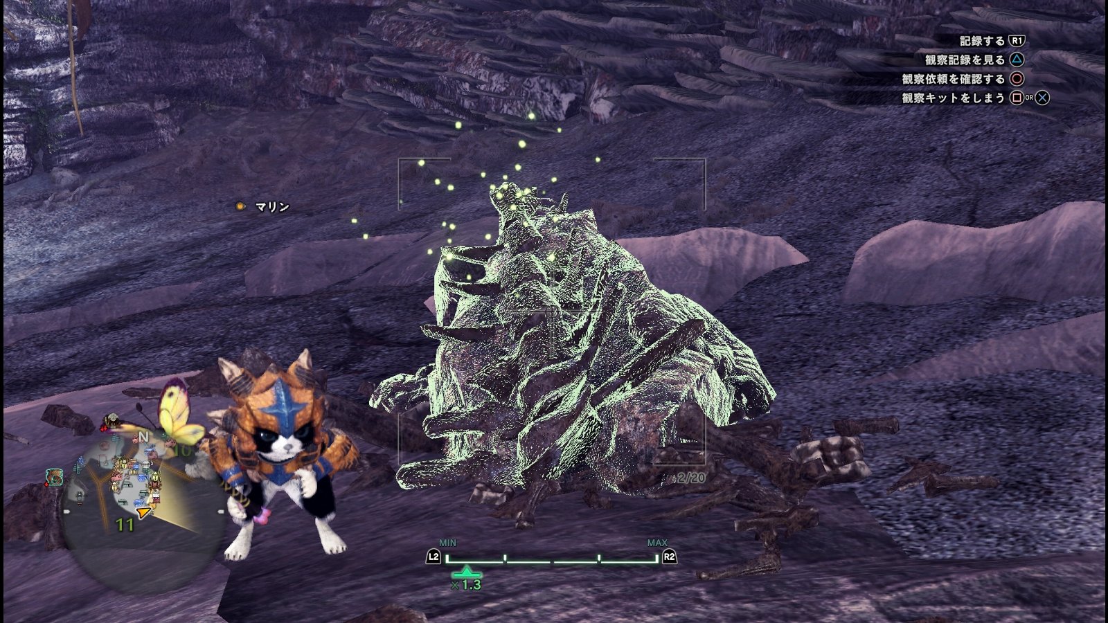 風化 した 岩 骨