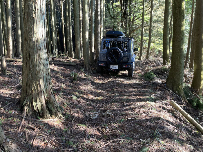 親父の山でデイ・ハンモック : 超ショートなblog(仮) 親父の山でデイ・ハンモック : 超ショートなblog(仮)