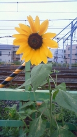 e17377b0.jpg