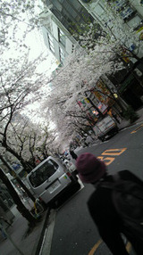 2011040909480000