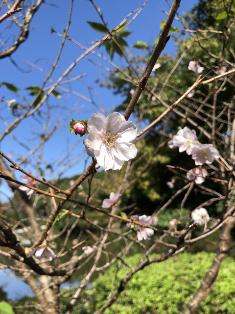 F7D65808-DC26-4F9E-B882-702F8CDC07FC