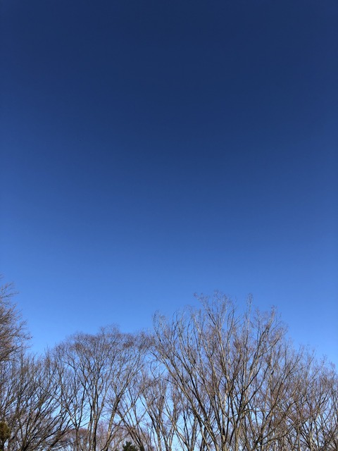 0B3F4E01-2A99-48F0-AB35-CFDA48F5D15F