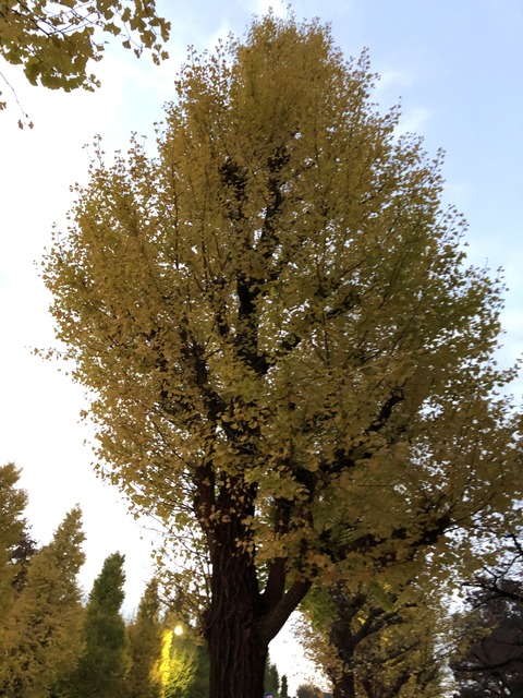 目に留まった言葉