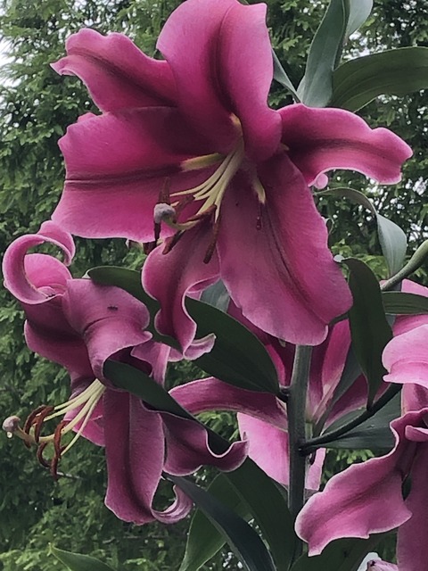 ボーディートーク