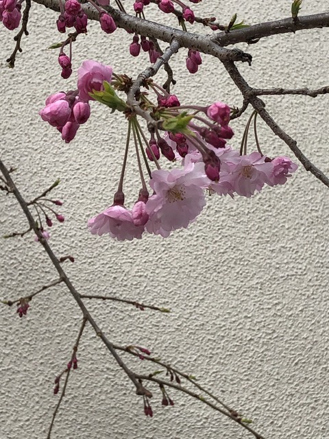 それぞれ