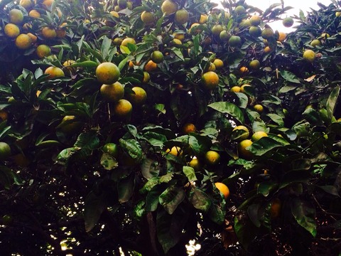 色々な注意点 2 ☝️