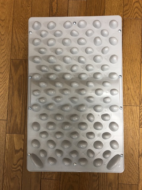 毎日の習慣
