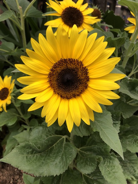 ご自愛下さいませ♡