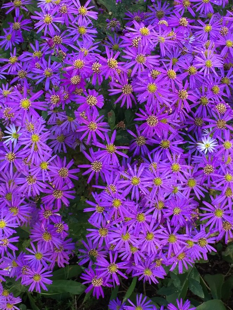 自分の弱点を追求する事と『アミング』から半音のトレーニング