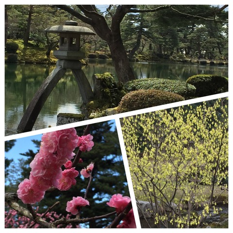 金沢観光ご報告と単音下行のトレーニング