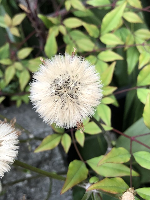 最近の歌詞